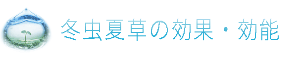 冬虫夏草の効果・効能